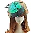 Fascinator Hairclip Veil Cocktail Tea Party Church Headwear Bridal Headpiece