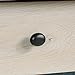 Sauder Edge Water Side Table, Chalked Chestnut finish