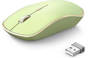 JOYACCESS J 2.4G Slim Wireless Silent Mouse - Portable Wireless Computer Mouse with 5 Adjustable DPI Levels, USB for Desktop, Notebook, MacBook, Chromebook, PC (Light Green)