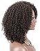 Kalyss Brown Afro Kinky Curly Wigs for Women Premium Synthetic Hair Wig Curved Side Parted Natural Looking Hair Wigs for Women