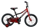 Schwinn Boys Piston Bicycle, 16