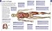 Human Anatomy: The Definitive Visual Guide