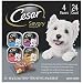CESAR Gourmet Wet Dog Food Variety Packs - 24 Trays