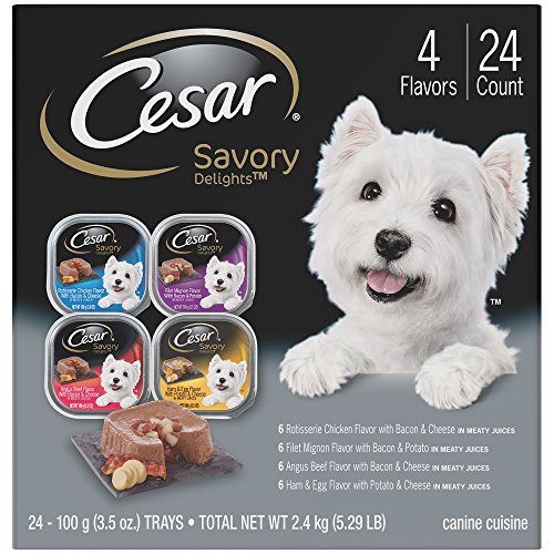 CESAR Gourmet Wet Dog Food Variety Packs - 24 Trays