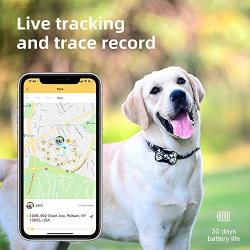 Bring Pets Home, Keep Them Safe The best tracking device for your pet.