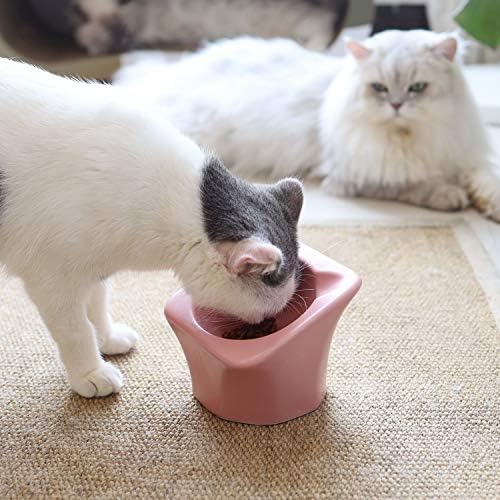 Mon Chat Reste Assis Dans Sa Litière ComSaf Bol d'alimentation et d'eau en Céramique, - Secrets de Chats