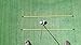 Golfnsticks 