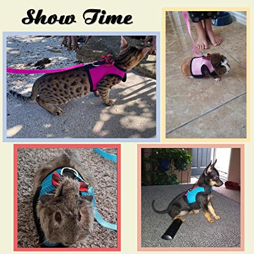Rypet Guinea Pig Harness and Leash Soft Mesh Small Animal Harness
