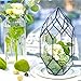 NCYP 6.5 x 5.9 x 11 Inches Geometric Glass Terrarium for Succulent, Air Plants - Large Irregular Clear Planter Pot, Indoor Tabletop Centerpiece, Wedding Garden Decor, Black (No Plants)
