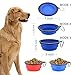 Large Collapsible Dog Bowls, 34oz Travel Water Food Bowls Portable Foldable Collapse Dishes with Carabiner Clip, 2 Pack (Blue + Red)