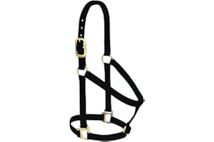 Weaver Leather Basic Non-Adjustable Nylon Horse Halter, Black, 1" Average Horse