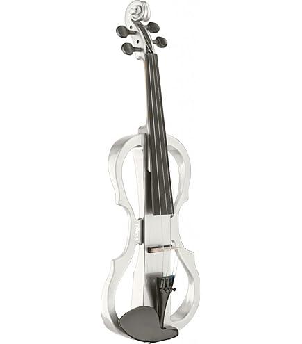 Amazon.com: Stagg EVN 4/4 BK Silent Violin Set with Case - Black