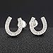 EVER FAITH 925 Sterling Silver Elegant Pave Cubic Zirconia Lucky Horseshoe Stud Earrings Clear