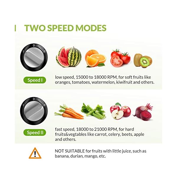 EASEHOLD 800W Juicer Machine Centrifugal Juice Extractor Whole Fruits And Vegetables, Easy to Clean,Stainless Steel with…