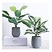 U'Artlines 2 Pack Artificial Plants Topiary Shrubs Fake Plants with Gray Pot for Tabletop Bathroom House Decoration