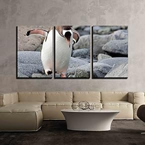 3 Piece Canvas Wall Art - Jumping Gentoo Penguin - Modern Home Art Stretched and Framed Ready to Hang - 16"x24"x3 Panels