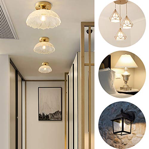 A19 LED Edison Bulb Dimmable 6W LED Filament Light Bulbs 60W Incandescent Equivalent Led Vintage Bulb 3000K Soft White 620LM E26 Medium Base Decorative Clear Glass for Home, Office, Cafes, 6 Pack