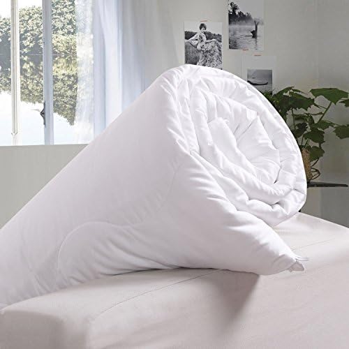 OOSILK 100% Mulberry Silk Comforter, Silk Filled Comforter Silk Quilt Silk Duvet,All Seasons,Queen