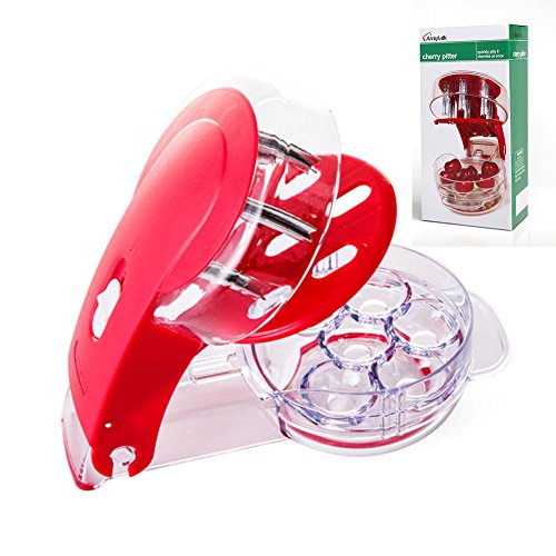 1 Amytalk+Cherry+Pitter+Multiple+Cherrystone