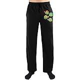 Teenage Mutant Ninja Turtles TMNT Four Brothers Print Men's Loungewear Lounge Pants
