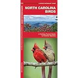 North Carolina Butterflies Amp Moths A Folding Pocket Guide