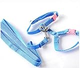 FUNNY365 Soft Pet Harness with Lead for Rabbit and Hedgehog, Nylon, Blue