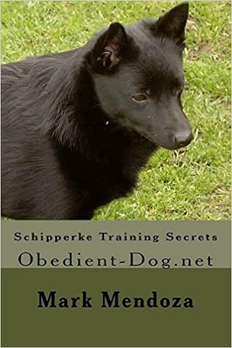 schipperke training
