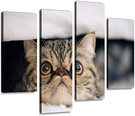 Amazon Co Jp アートパネル 目を見開いた猫 エキゾチックショートヘア にゃんこ ねこ エキゾチックショートヘア 怖がる 潜む 猫 目を丸くする 興味津々 逃げる 隠れる 壁掛け ポスター キャンバス絵画 部屋飾り インテリアアート 壁キャンバス 新築飾り お祝い
