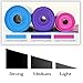 Therapy Flat Resistance Bands Set, Latex Free Flat Elastic Exercise Stretch Bands for Stretching, Flexibility, Pilates, Yoga, Ballet, Gymnastics, Rehab, Workout, Pink, Purple, Blue (3 Pack, 5 FT long)