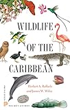 Wildlife of the Caribbean (Princeton Pocket Guides)