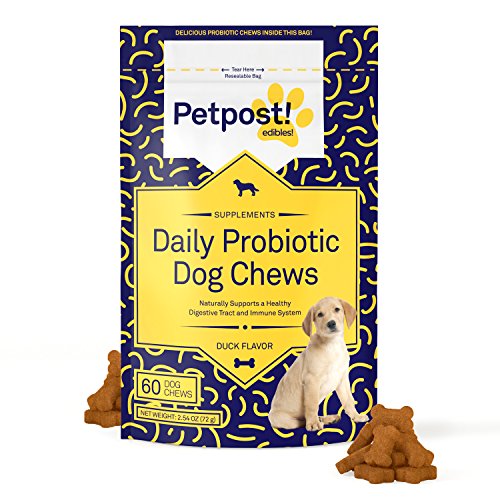 Petpost | Probiotic Chews for Dogs - Delicious Duck Flavored Treats with Probiotics for Dogs - Healthy Digestion and Stronger Immune System (60 Small Daily Chews)