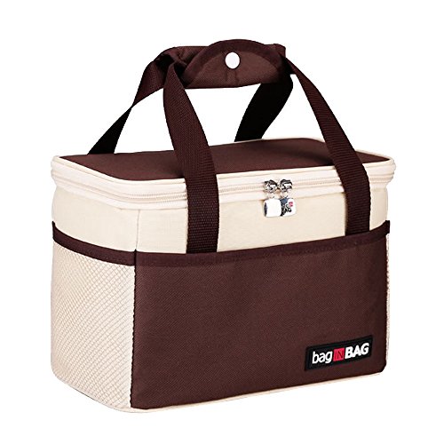 Buy XMBEDERT 6 Cans Tote Lunch bag Small Insulated Soft Cooler Bag