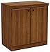South Shore Small 2-Door Storage Cabinet with Adjustable Shelf, Morgan Cherry