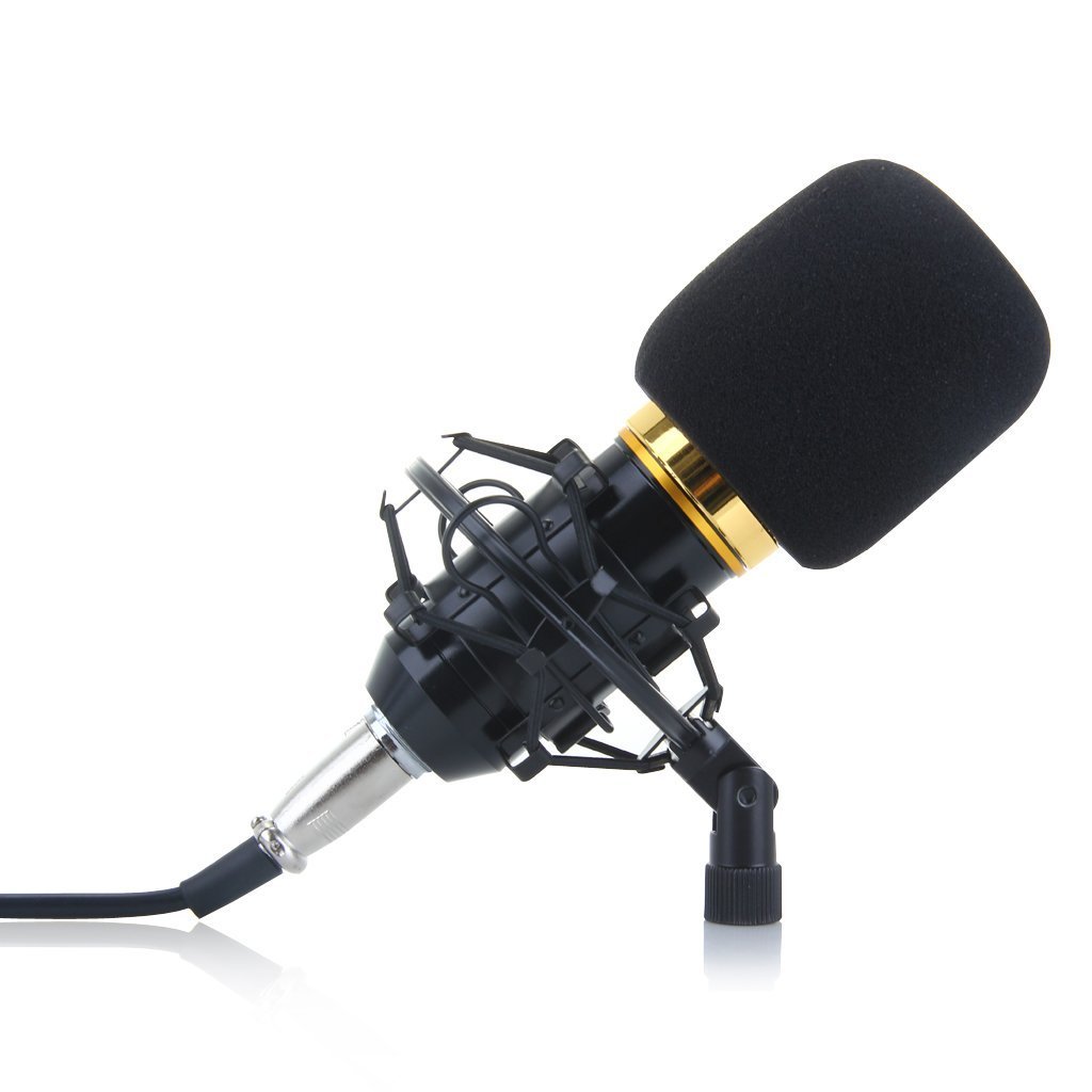 10 Best Vocal Mics 2020 Instrument Top