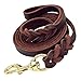 Beirui Leather Dog Leash - Training & Walking Braided Dog Leash - 4 ft by 1/2 in (120cm 1.2cm) - Latigo Leather Brown