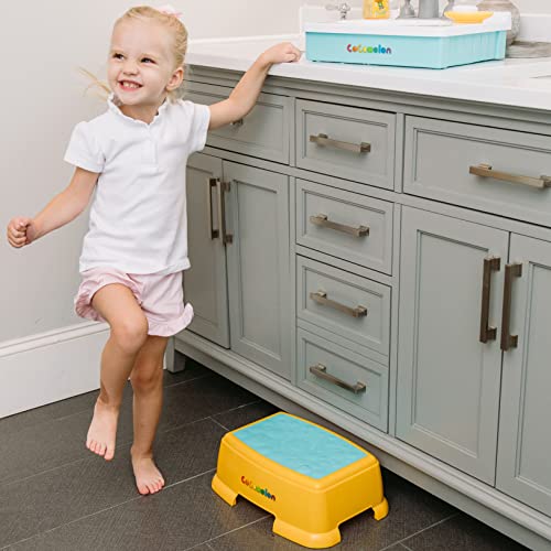 Step Stool for Kids Toddler Step Stools for Toilet Potty