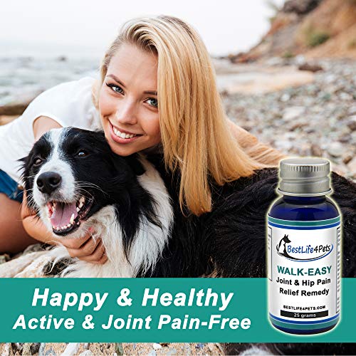 WALK-EASY Hip and Joint Supplement for Dogs and Cats; Advanced Anti-inflammatory Support and Arthritis Pain Relief Pills | Natural, Chemical-free and Easy To Give Your Pet - 2 Pack