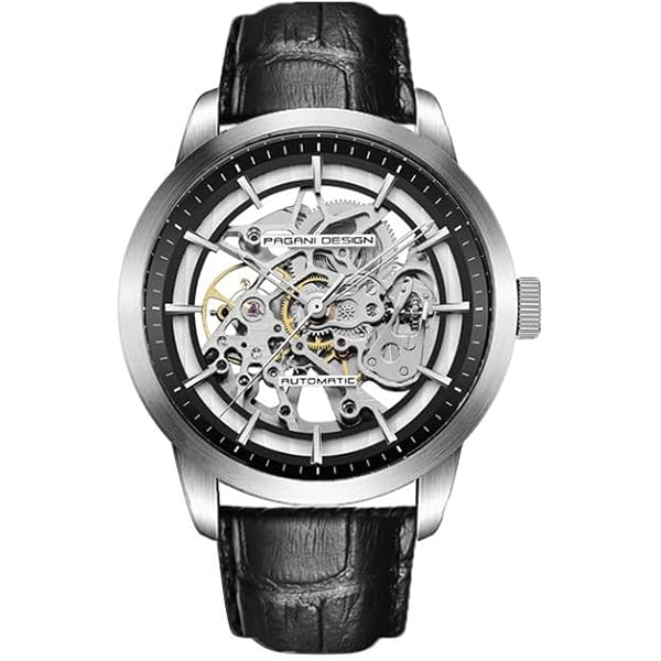 【稼働品】Pagani Design 自動巻き腕時計 スケルトン no brand（ノーブランド）の「PAGANI DESIGN メンズ腕時計