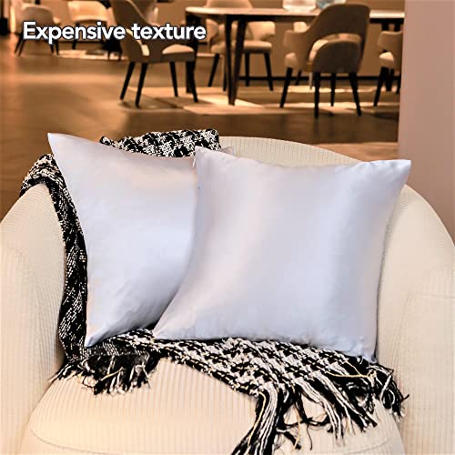 Luxqua Silk Throw Pillow Covers Set of 2, Ultra Soft Square Cushion Covers for Sofa, Bedroom and Car, Wrinkle Fade Resistant Decorative Throw Pillow Shams with Zipper (16\