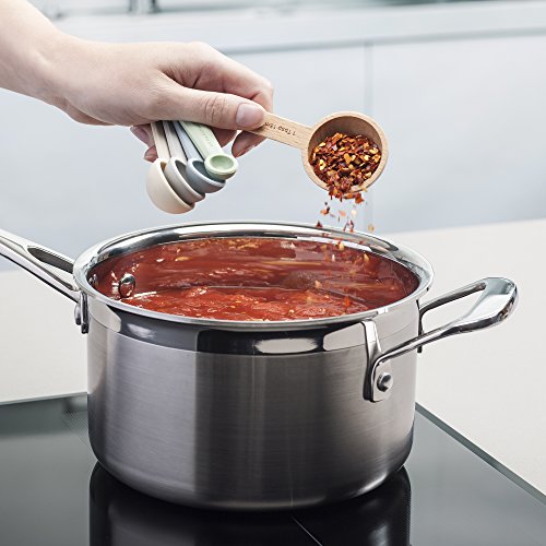 ZEAL Perfect Measure Silicone Measuring Spoons Set of 5 For