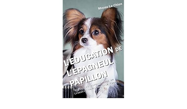 Leducation De Lépagneul Papillon Toutes Les Astuces Pour