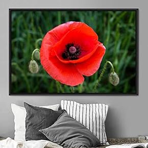 signwin Framed Canvas Wall Art Flora Snapshot Closeup...