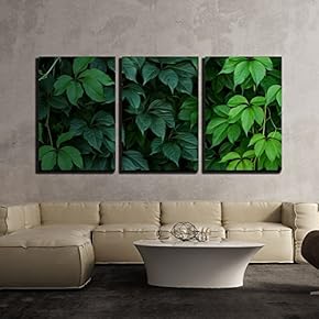 3 Piece Canvas Wall Art - Wall of Green Climbing Plant Full Screen as Background. Oil Painting Effect. - Modern Home Art Stretched and Framed Ready to Hang - 16"x24"x3 Panels