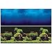 Vepotek Aquarium Background Double sides (Deep Sea/Water Plants) (48