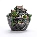 WINOMO Artificial Flowers Succulent Plants Pot Hanging Garden Design with Sweet House (Silver)