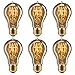 Edison Bulb, FadimiKoo Vintage Bulb 60W Dimmable A19 Squirrel Cage Filament Edison Lihgt Bulb for Home Light Fixtures Decorative, Pack of 6