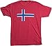 Ann Arbor T-shirt Co. Unisex Adult Norwegian Flag | Vintage Style, Retro-Feel Norway Flag & Lion, XL