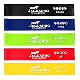 Jaguarro Fitness Experts Exercise Resistance Loop Bands - Set of 5 Multicolor Fitness Bands - Carry Bag and eBook