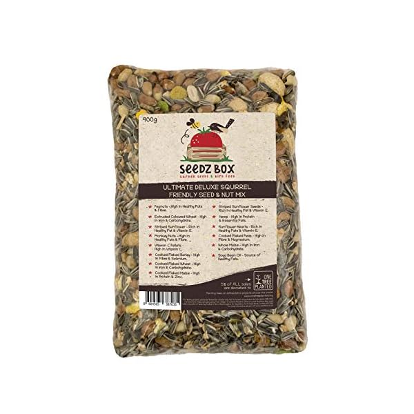 Seedzbox-Ultimate-Deluxe-Squirrel-Food-Seed-and-Nut-Feed-Mix--Natural-Treats-and-Snacks-for-Wild-Squirrels--Monkey-Nuts-Flaked-Peas-Whole-Maize-and-Wheat-Healthy-Fats-and-Vitamin-E--900g-Bag Squirrel Food Seed and Nut Feed Mix 900g - SeedzBox Deluxe Squirrel Food - Natural Treats and Snacks for Wild Squirrels…