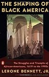 The Shaping of Black America: The Struggles and Triumphs of African-Americans, 1619-1990s (African American History (Penguin))